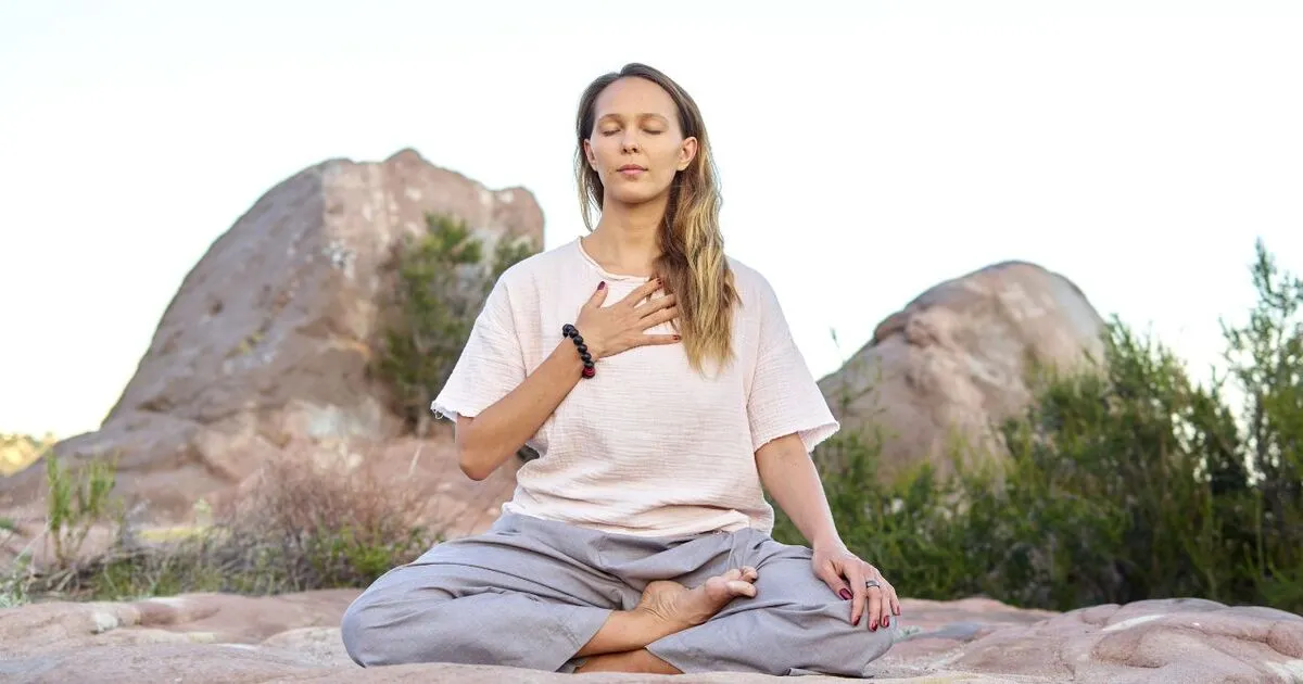vipassana meditation is a mindfulness practice