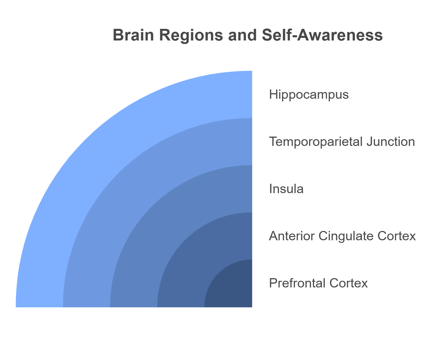 graph showing the brain sections of self-awareness