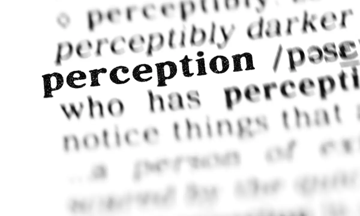 human perception definition