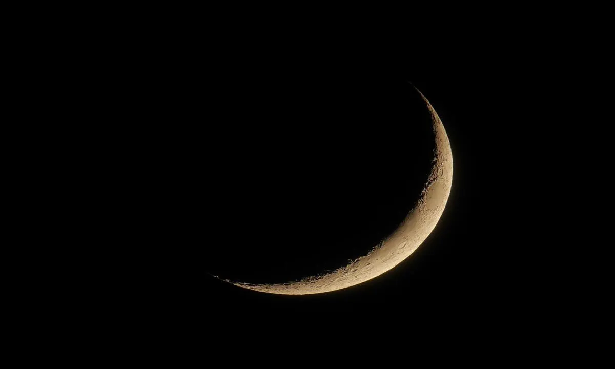 image of the quarter moon phase