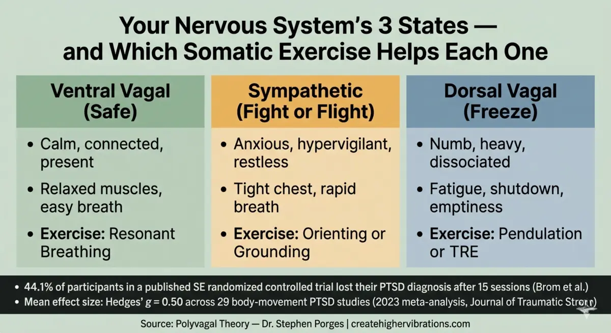 polyvagal theory three nervous system states somatic exercises PTSD guide