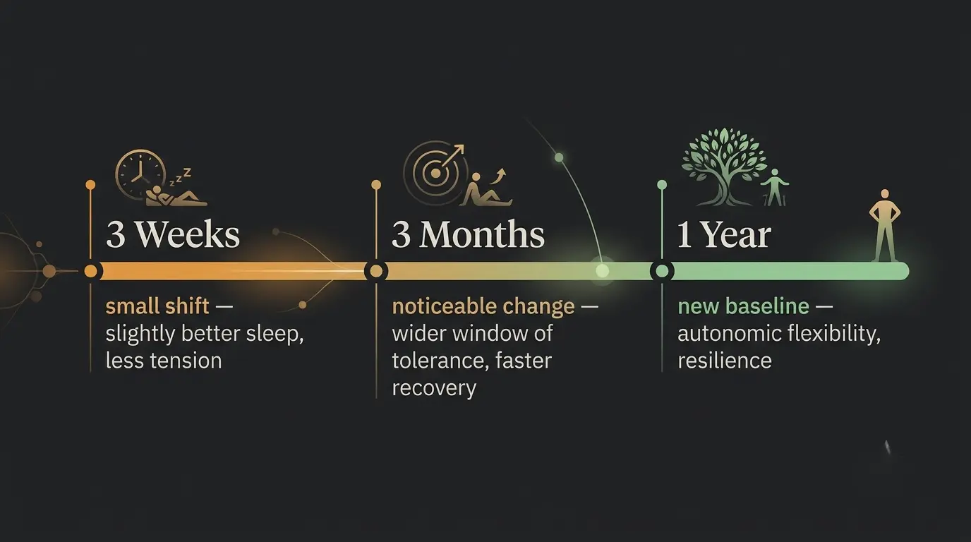 Realistic healing timeline for nervous system regulation showing 3 weeks, 3 months, and 1 year milestones