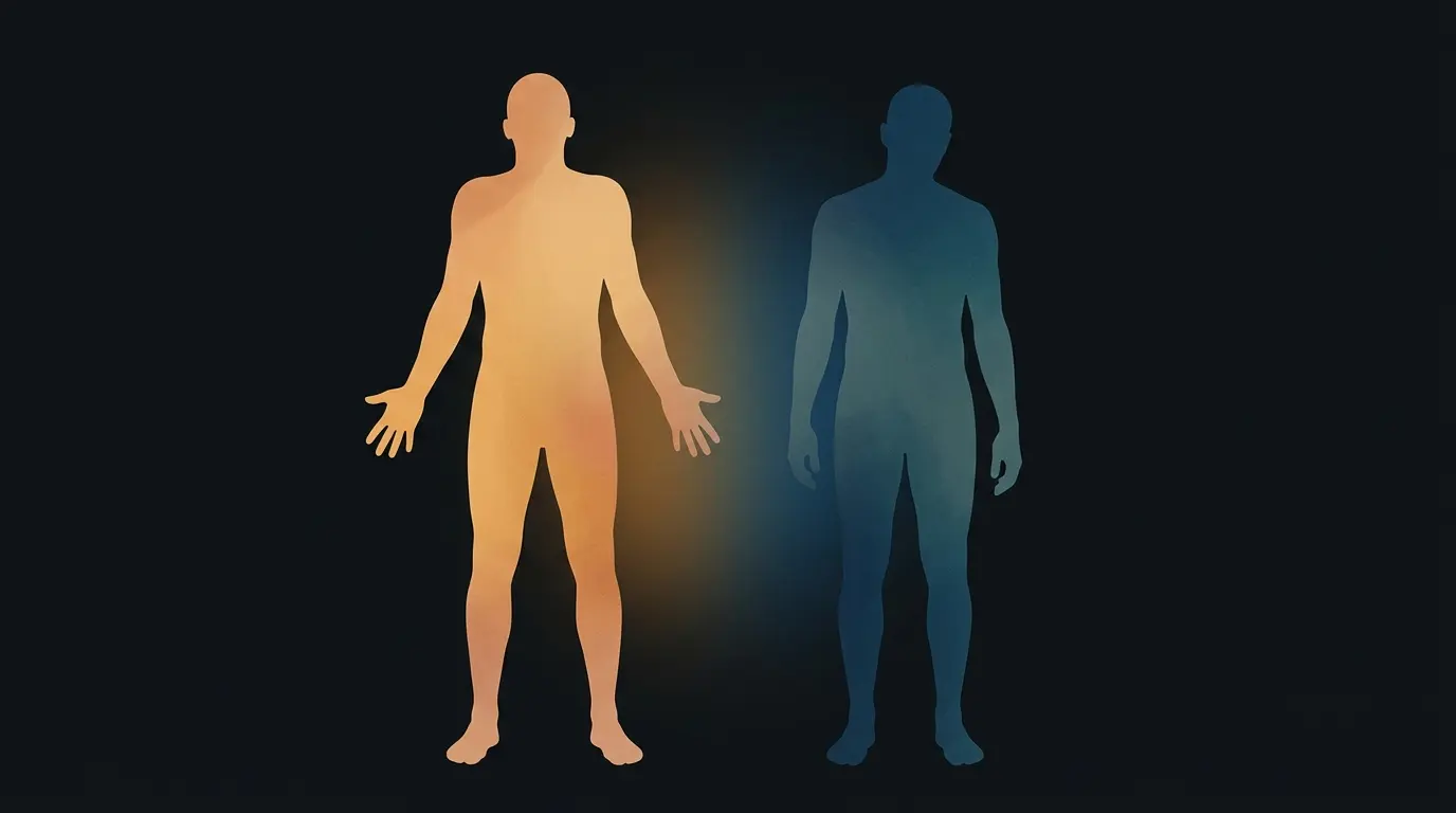 Visual comparison of hyperarousal and hypoarousal nervous system states